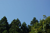 camp27 (263)_thumb.png